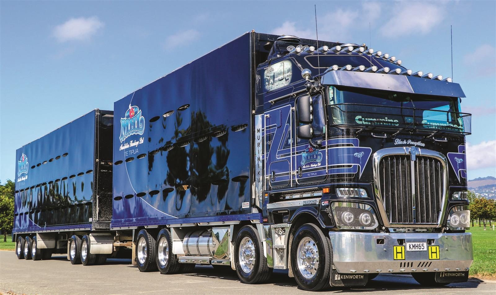 BLACK perception Custom corner NZ Trucking